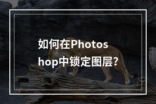 如何在Photoshop中锁定图层?