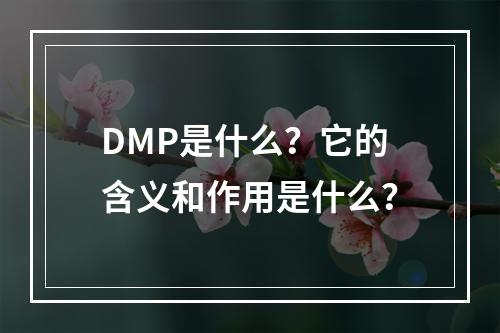 DMP是什么?它的含义和作用是什么?