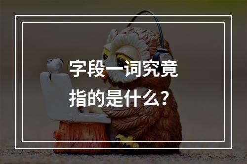 字段一词究竟指的是什么?