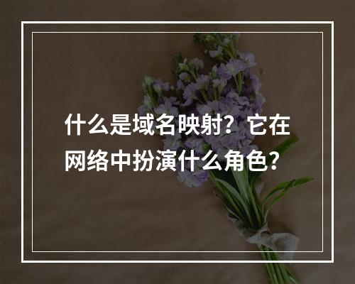 什么是域名映射?它在网络中扮演什么角色?