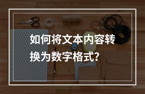 如何将文本内容转换为数字格式?