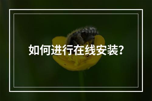 如何进行在线安装?