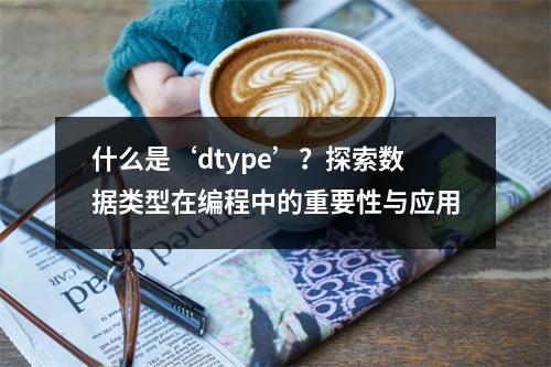 什么是‘dtype’?探索数据类型在编程中的重要性与应用