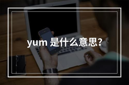 yum 是什么意思?