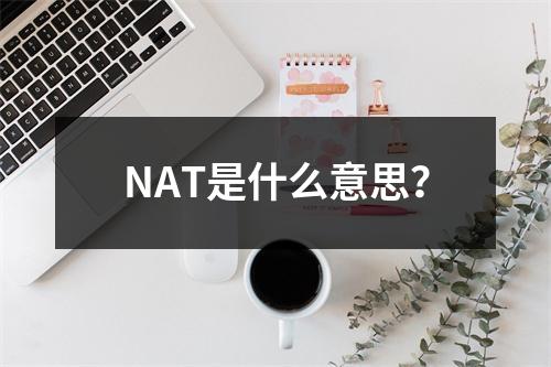 NAT是什么意思?