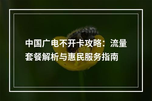 中国广电不开卡攻略：流量套餐解析与惠民服务指南