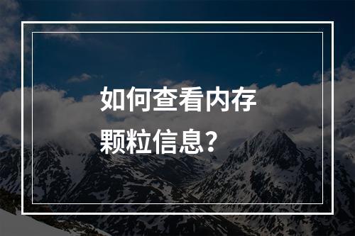 如何查看内存颗粒信息?