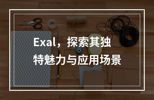 Exal,探索其独特魅力与应用场景