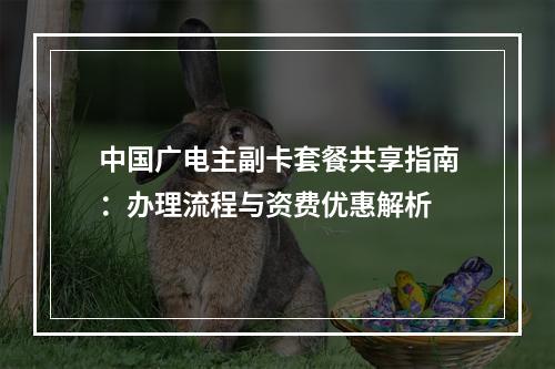 中国广电主副卡套餐共享指南：办理流程与资费优惠解析