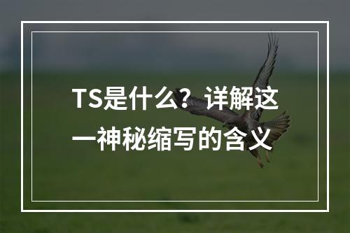 TS是什么?详解这一神秘缩写的含义