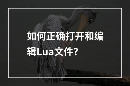 如何正确打开和编辑Lua文件?