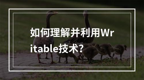 如何理解并利用Writable技术?