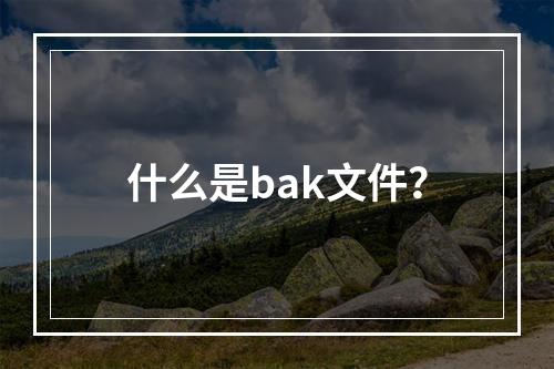 什么是bak文件?
