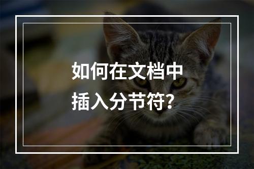 如何在文档中插入分节符?