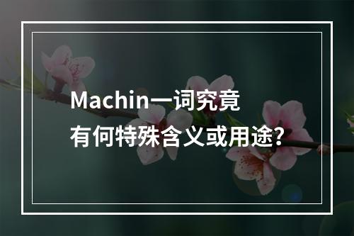 Machin一词究竟有何特殊含义或用途?