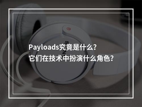 Payloads究竟是什么?它们在技术中扮演什么角色?