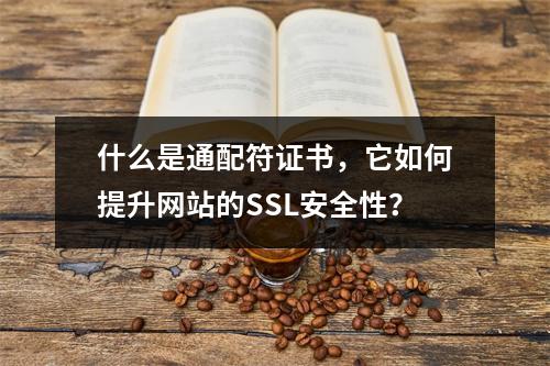 什么是通配符证书,它如何提升网站的SSL安全性?