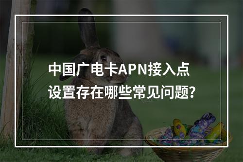 中国广电卡APN接入点设置存在哪些常见问题？
