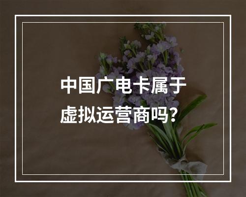 中国广电卡属于虚拟运营商吗？