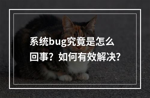 系统bug究竟是怎么回事?如何有效解决?