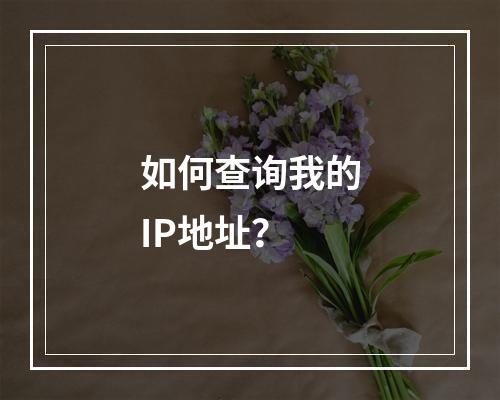 如何查询我的IP地址?