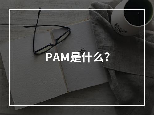 PAM是什么?
