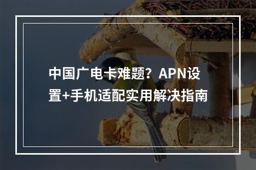 中国广电卡难题？APN设置+手机适配实用解决指南