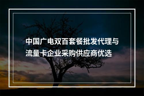 中国广电双百套餐批发代理与流量卡企业采购供应商优选
