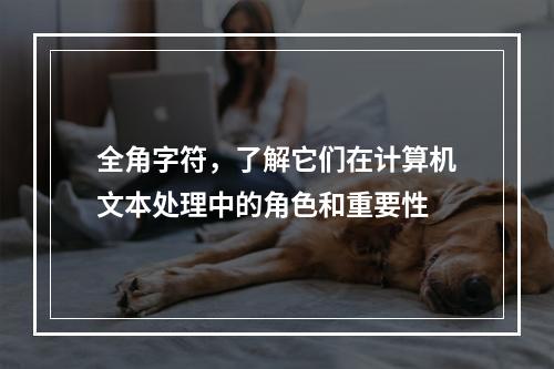 全角字符,了解它们在计算机文本处理中的角色和重要性