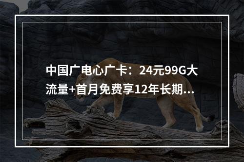 中国广电心广卡：24元99G大流量+首月免费享12年长期套餐