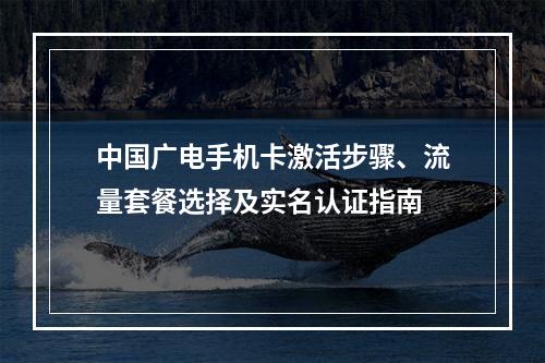 中国广电手机卡激活步骤、流量套餐选择及实名认证指南