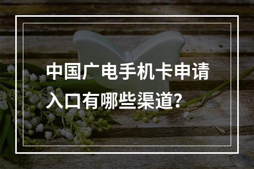 中国广电手机卡申请入口有哪些渠道？