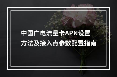 中国广电流量卡APN设置方法及接入点参数配置指南