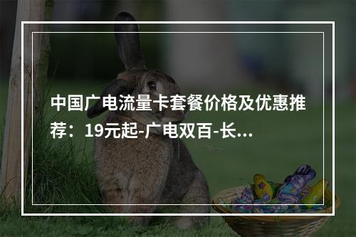 中国广电流量卡套餐价格及优惠推荐：19元起-广电双百-长期套餐