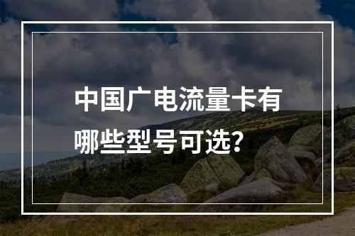 中国广电流量卡有哪些型号可选？