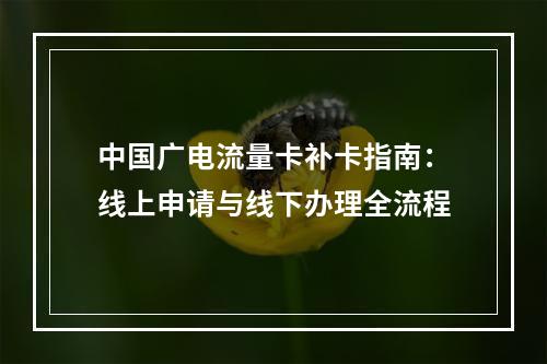 中国广电流量卡补卡指南：线上申请与线下办理全流程