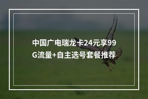 中国广电瑞龙卡24元享99G流量+自主选号套餐推荐