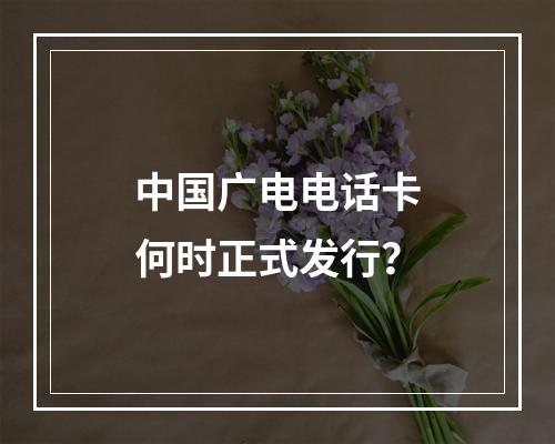 中国广电电话卡何时正式发行？