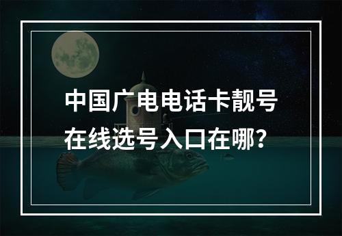 中国广电电话卡靓号在线选号入口在哪？
