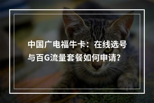 中国广电福牛卡：在线选号与百G流量套餐如何申请？