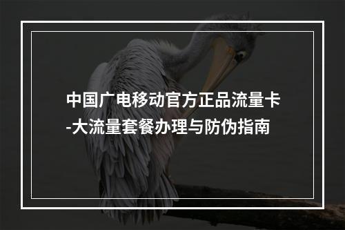 中国广电移动官方正品流量卡-大流量套餐办理与防伪指南