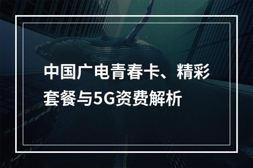 中国广电青春卡、精彩套餐与5G资费解析