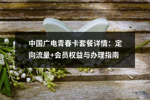 中国广电青春卡套餐详情：定向流量+会员权益与办理指南