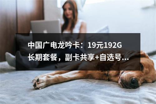 中国广电龙吟卡：19元192G长期套餐，副卡共享+自选号码