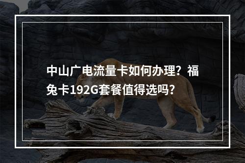 中山广电流量卡如何办理？福兔卡192G套餐值得选吗？