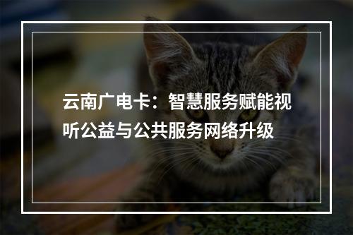 云南广电卡：智慧服务赋能视听公益与公共服务网络升级