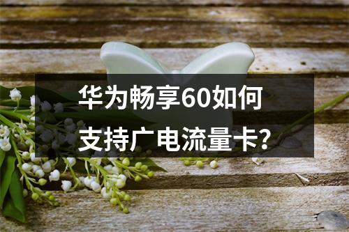 华为畅享60如何支持广电流量卡？