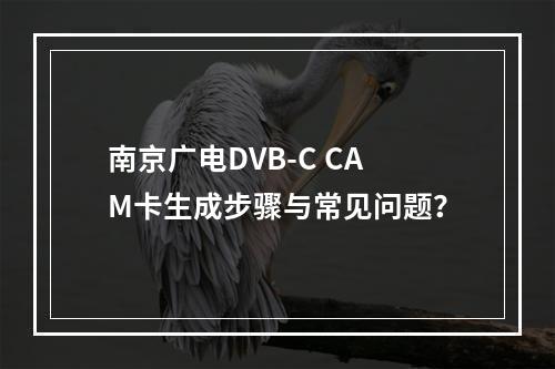 南京广电DVB-C CAM卡生成步骤与常见问题？