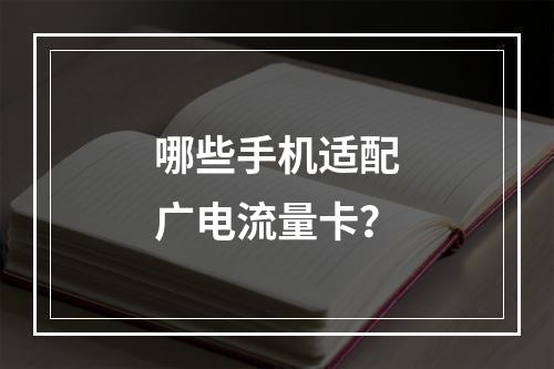 哪些手机适配广电流量卡？