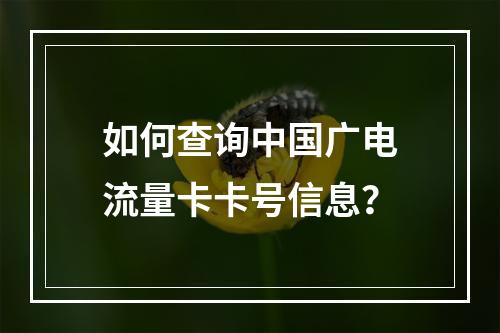 如何查询中国广电流量卡卡号信息？